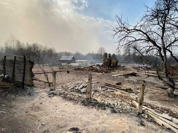 Пожары в Житомирской области нанесли ущерб на 25 млн гривен, – ОГА