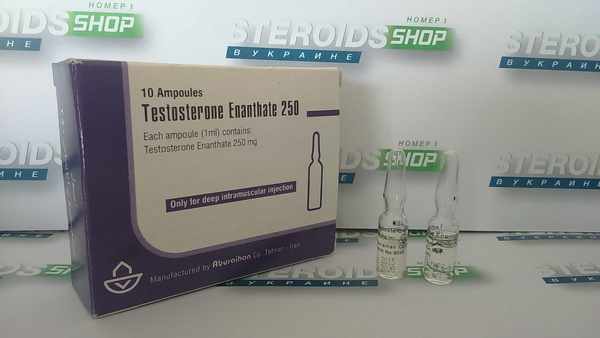 Тестостерон Энантат: состав препарата