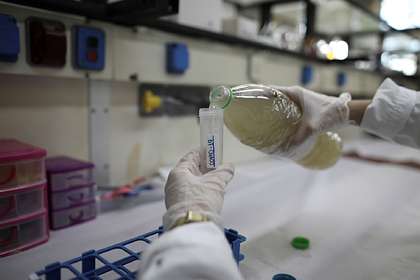 Мутировавший коронавирус нашли недалеко от российской границы: Общество