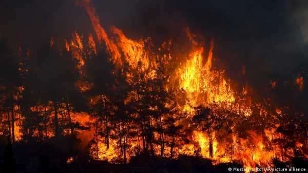 Несколько человек погибли при лесных пожарах в курортном регионе Турции