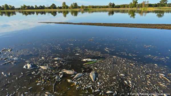За сведения о причинах загрязнения реки в Польше предложили 1 млн злотых