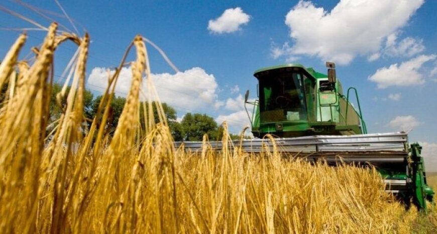 «Повільно вбиває»: Кулеба висловився про відмову РФ продовжувати зернову угоду