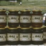 У музеї в Пирогові відбулося свято меду