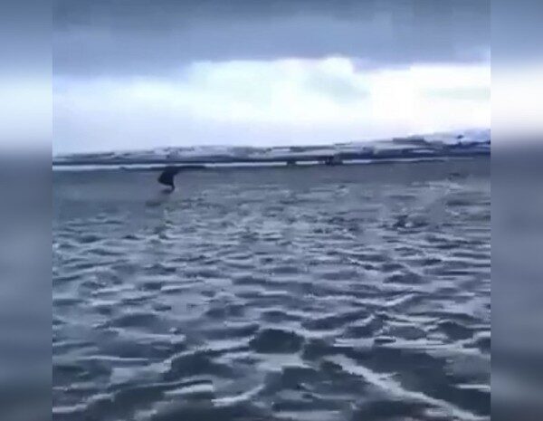 Шторм в РФ — на Камчатці затопило аеропорт Тилічики — фото та відео