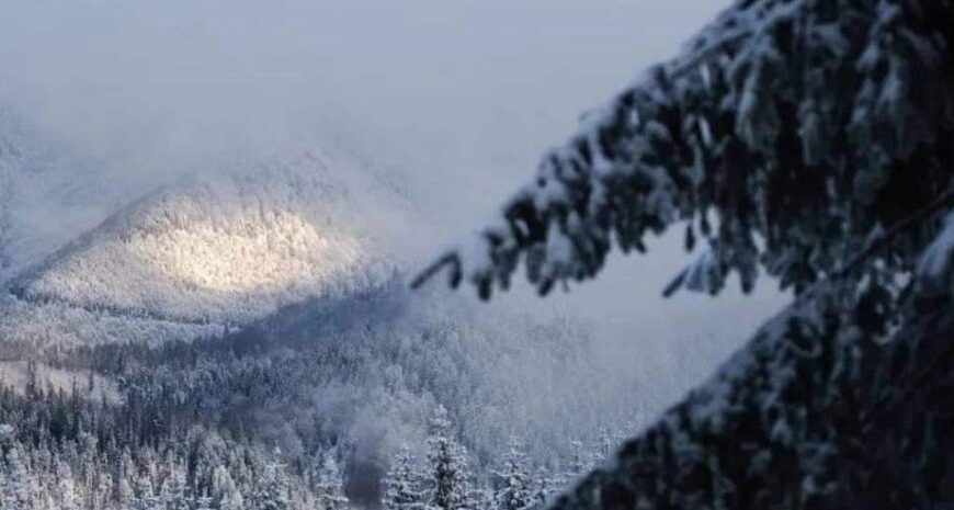 Сніг у Карпатах – українців попередили про небезпеку снігових лавин у двох областях