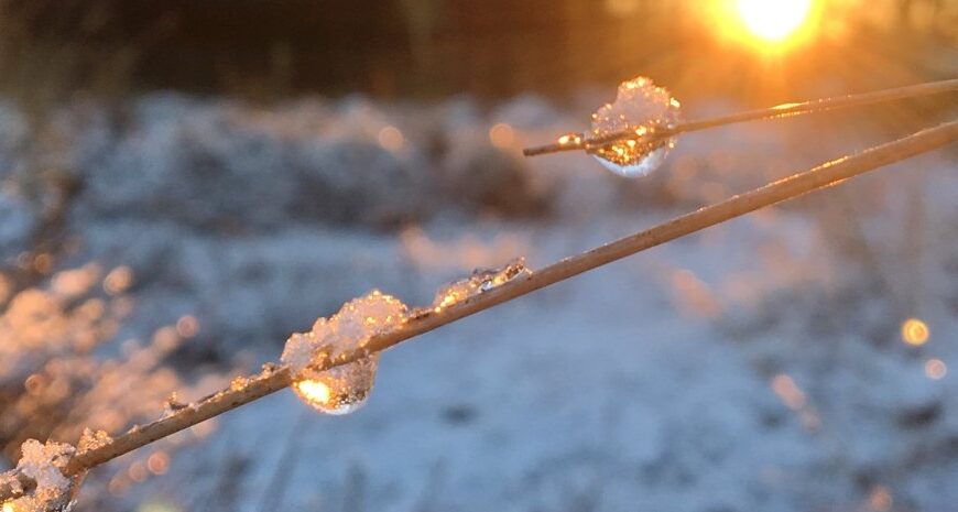 Погода на тиждень 15-21 січня – коли потепліє – карта