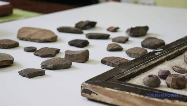 Житомирському музею передали артефакти часів Київської Русі