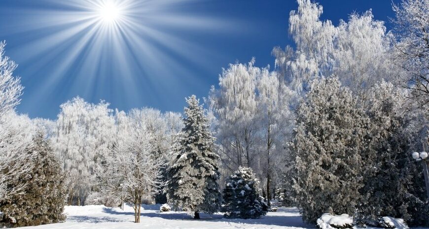 Погода в Україні — коли потеплішає — прогноз на 10 січня