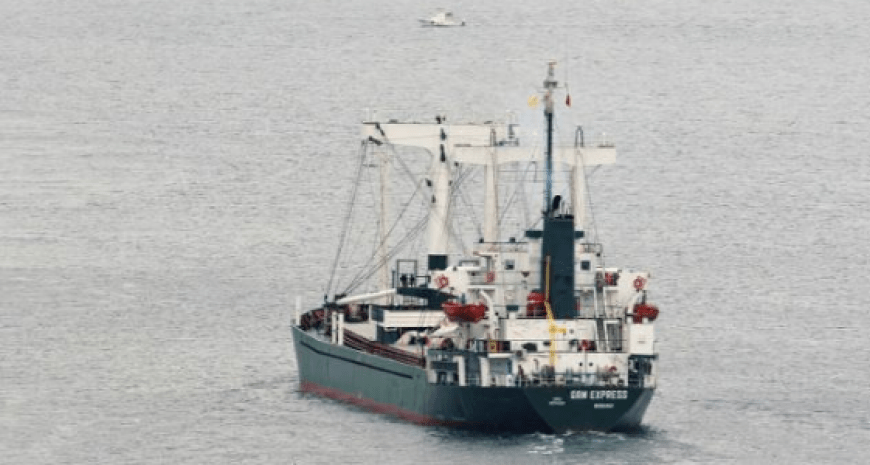 Росіяни вивезли українське насіння — його продали туркам — ЗМІ