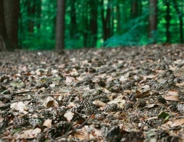 На Кіровоградщині зафіксували зрідження ґрунту – відео