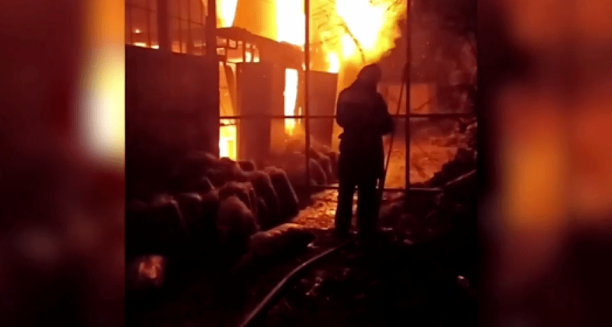 Пожежа в зоопарку — в Євпаторії загинули понад 200 тварин — відео