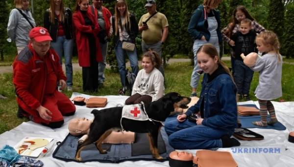 У Вінниці проходить «Пироговський пікнік», присвячений темі реабілітації та відновлення