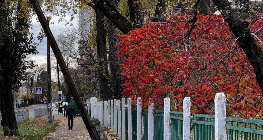 Погода на вихідних: в Україну йде справжня осінь — прогноз