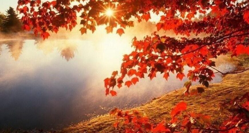 Прогноз погоди – в Україну йде аномальне тепло