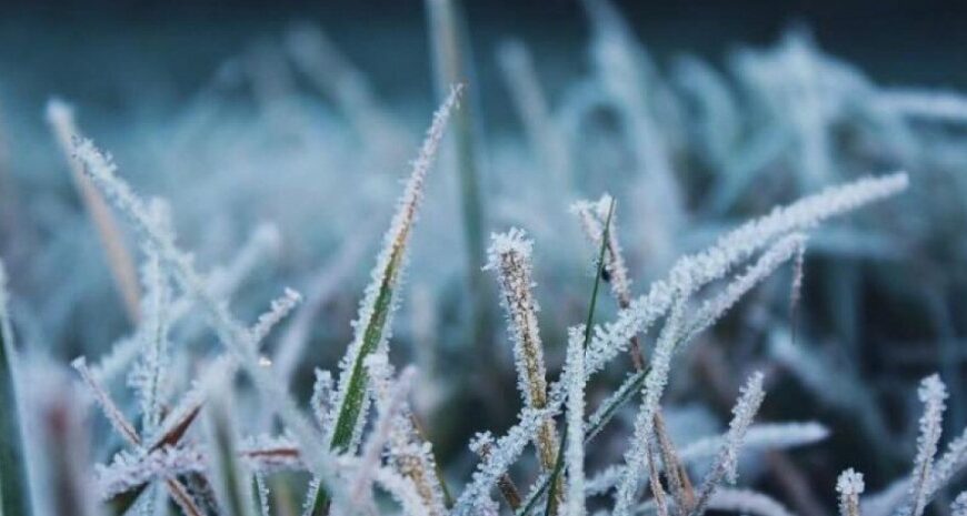В Україну йдуть заморозки – прогноз погоди