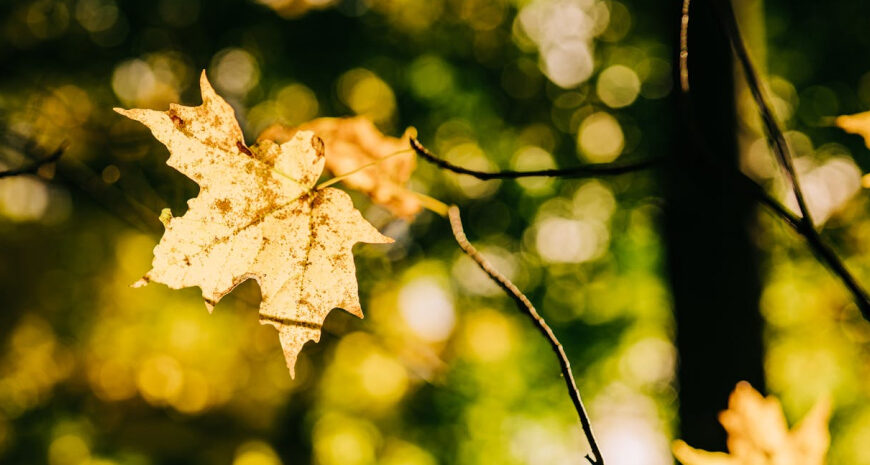 Погода в Україні – прогноз погоди на 4, 5, 6 жовтня