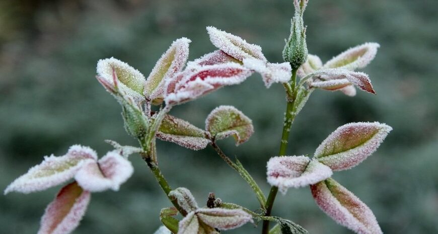 Погода в Україні. Де будуть заморозки в ніч на 2 жовтня