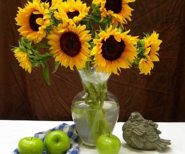 Ви здивуєтеся, коли дізнаєтеся навіщо наші бабусі зберігали гроші під скатертиною