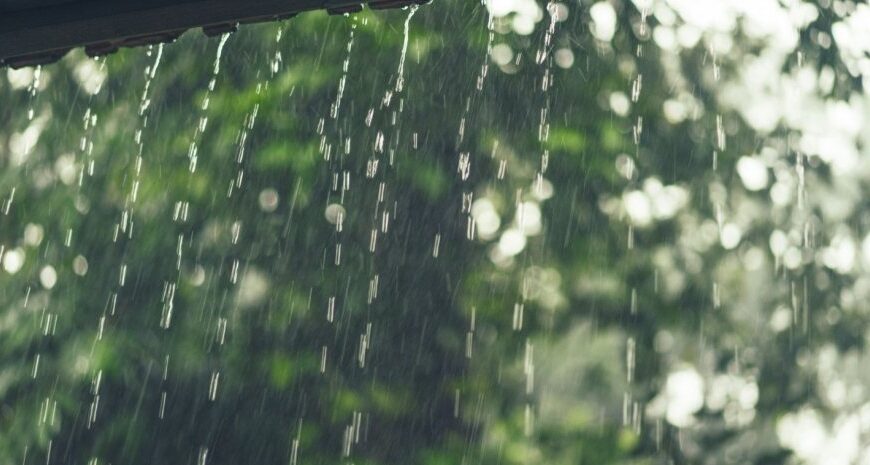 Погода в Україні 12 червня: в яких областях дощитиме