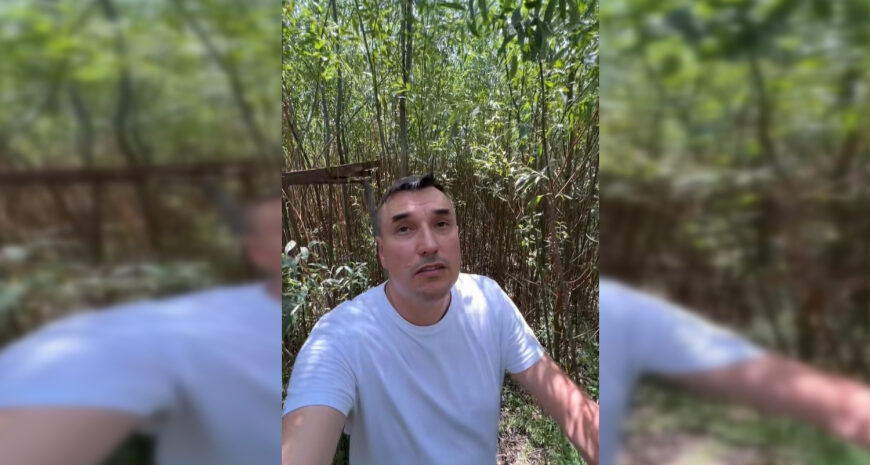 Підрив Каховської ГЕС — на дні водосховища виріс ліс