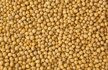 Пік переробки олії в Україні зафіксовано за останні роки, стимульований експортним оподаткуванням.