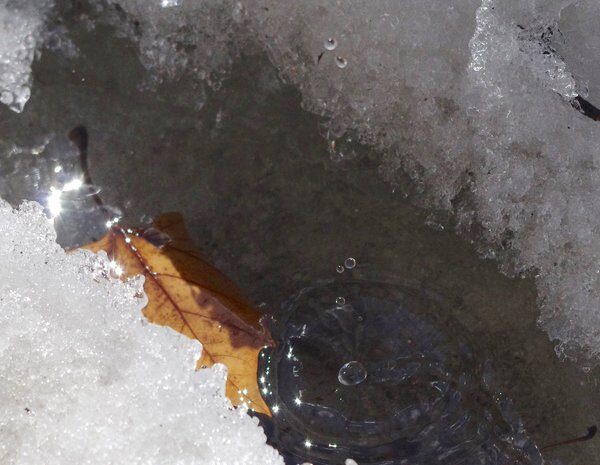 В Україну йде потепління: синоптики назвали терміни відступу морозів —&hellip;