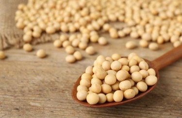 Українські ціни на сою досягли найвищого рівня за…