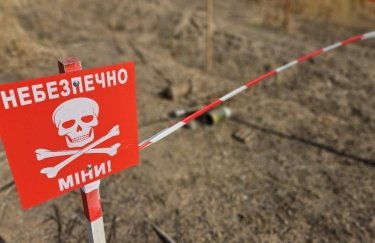 Кабмін полегшив відновлення обробки замінованих сільгоспугідь.