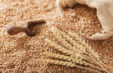 Україна скоротить експорт пшеничного борошна, як очікується.