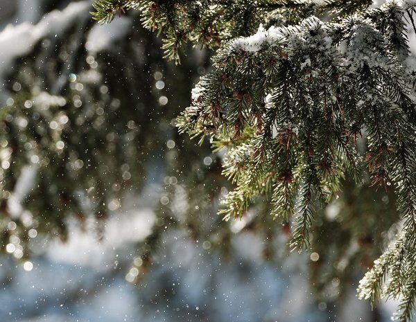 В Україні – різке похолодання, аномальні морози повернуться – прогноз&hellip;