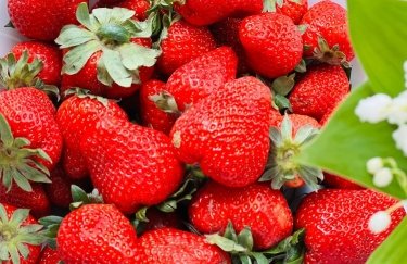 Вартість фруктів в Україні — актуальні ціни на 5 червня