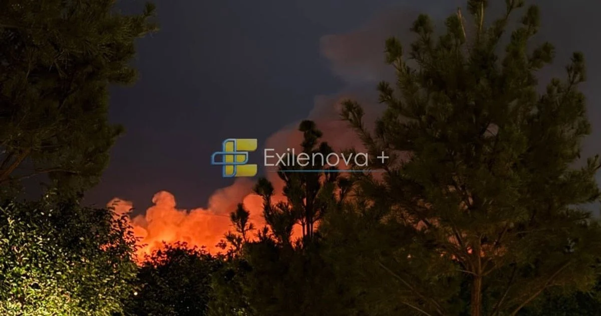 Fire at Wildberries in Krasnodar