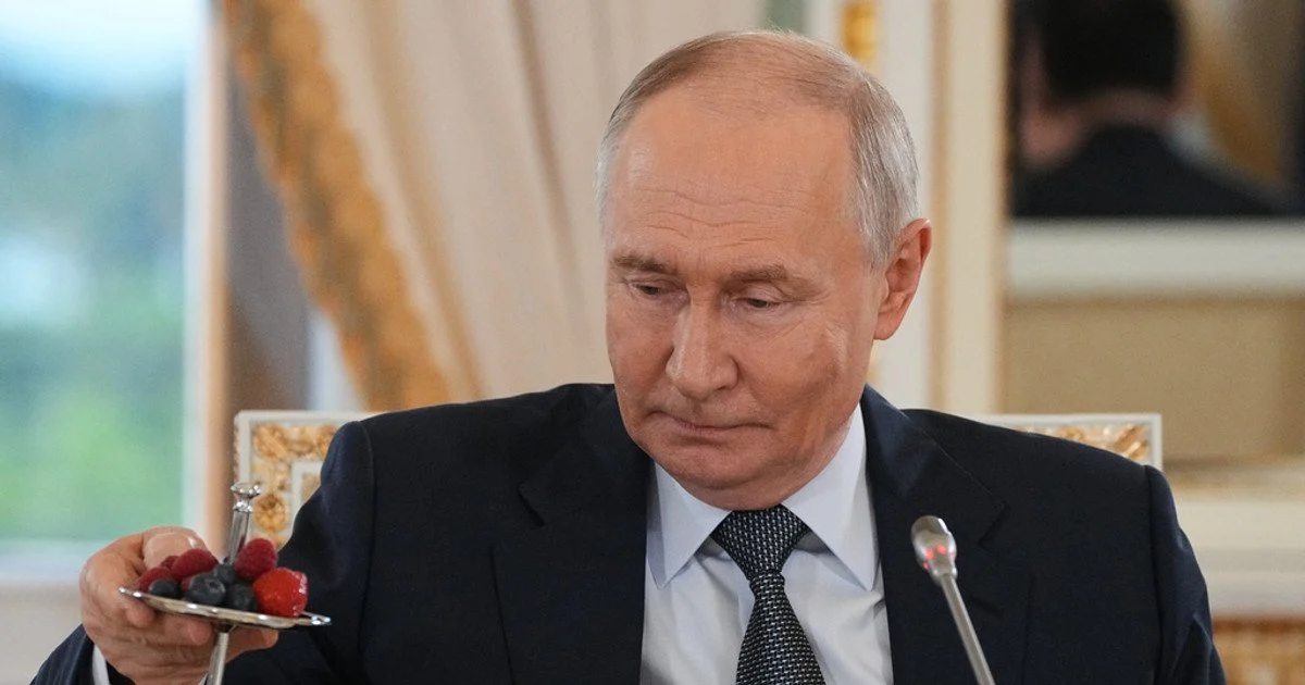 Dictator Putin Dictator Putin
