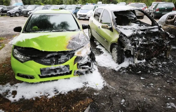 У Познані арештовано п’ятьох українських дітей за підпал автівок