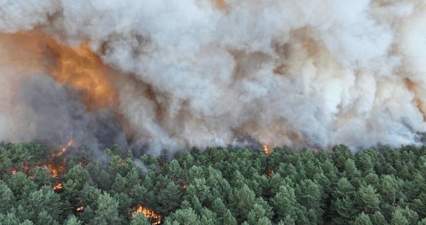 Масові пожежі у Франції: уряд розглядає скасування святкувань Дня взяття Бастилії