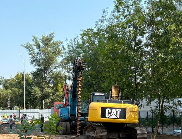 Планують демонтувати гаражі ветеранів заради збереження дерев на Теремках: які пропозиції від депутатів