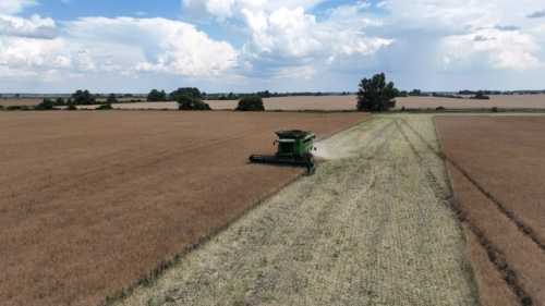 Прогноз врожаю зернових в Україні у 2026/27 МР від USDA збільшено на 3,7 млн тонн, а експорту – зменшено на 2,2 млн тонн