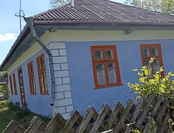 Новосели з Херсонщини придбали оселю в сільській місцевості за 1700 доларів: який вигляд має тепер (фото)