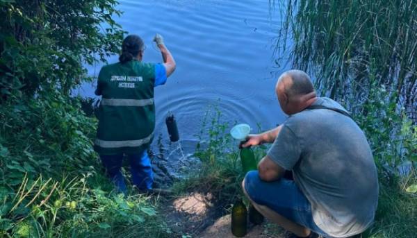 На Полтавщині розслідують причини загибелі риби у водосховищі