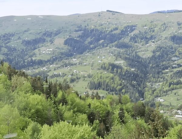 Землетрус у Карпатах: сейсмологи зареєстрували поштовхи магнітудою 1,4 на межі двох регіонів — фото