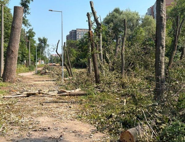 Суперечка в Теремках через тепломережу: що відбувається на ділянці вирубки дерев, яка завширшки як автостоянка (ілюстрації)