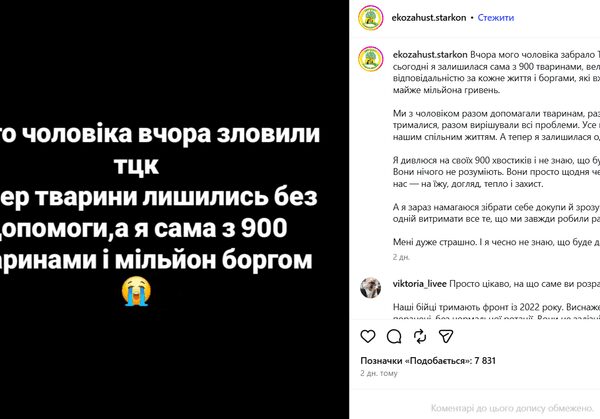 «Чоловіка мобілізували»: опікунка притулку опинилася сама з 900 тваринами та боргом у мільйон гривень