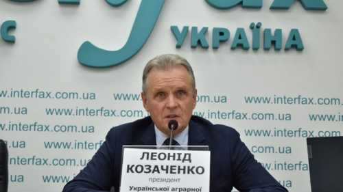 Україна мусить терміново узгодити з ЄС та Туреччиною відновлення експорту зерна – очільник УАА