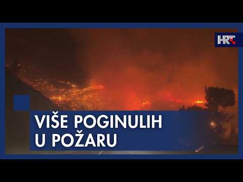 Є жертви та постраждалі: на хорватському курорті палає сильна лісова пожежа (відео)