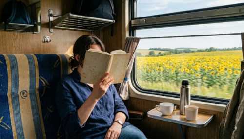 Залізничники можуть зарезервувати книжку під час придбання проїзного документа та забрати її в транспортному засобі.
