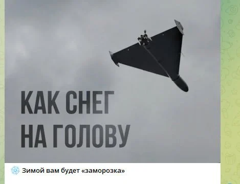 Скриншот допису з телеграм-каналу Міноборони РФ. Фото: Telegram / © Міноборони РФ