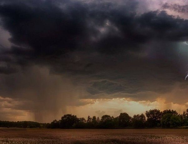 Сильна злива, град та штормовий вітер: Одеса та Харків потерпають від негоди (відео)