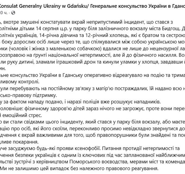Поляки напали на двох українських дітей, зламавши їм іграшковий дрон, через мову, застосувавши силу.