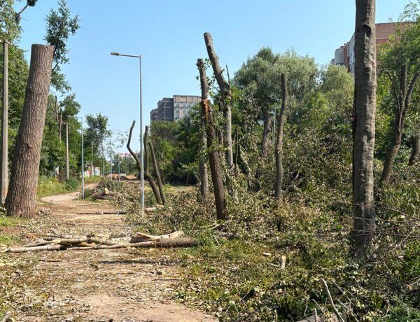 Нова тепломережа на Теремках: у КМДА заперечують вирубку дерев