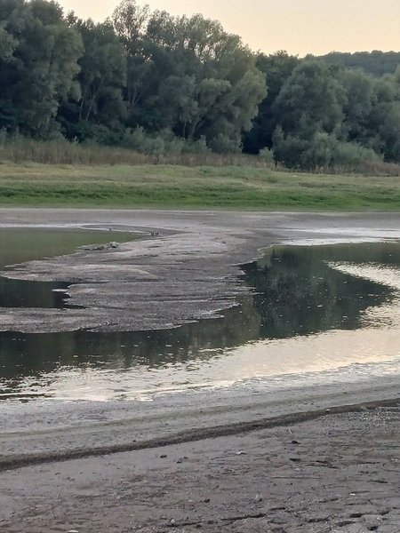 Дністер вперше за 70 років: показали масштаби критичної посухи